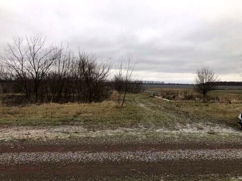 ділянка за адресою с. Надержинщина, 