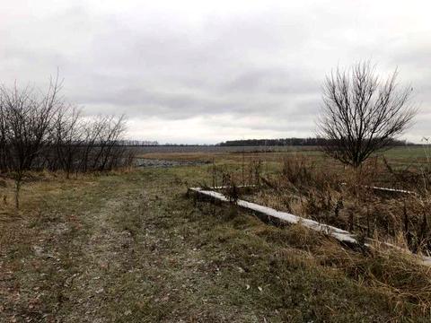 ділянка за адресою с. Надержинщина, 