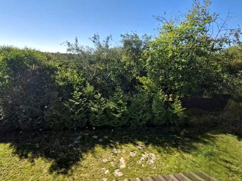 дом по адресу Полтавський провулок