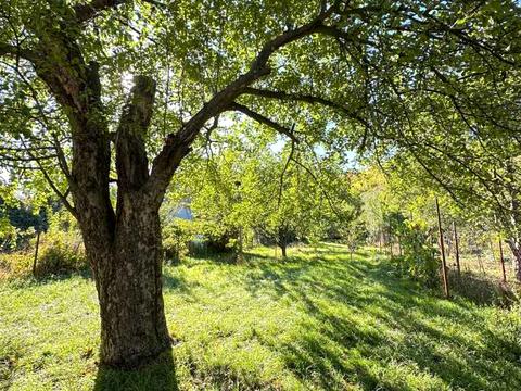 будинок за адресою Колійна вул. (Вороніна), 141