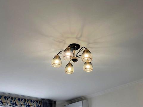 квартира за адресою Академіка Кіпріанова вул., 4