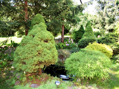 дом по адресу Дачна