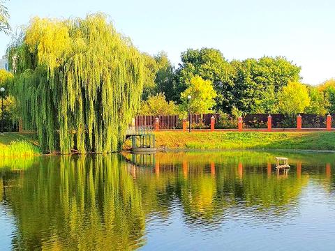 квартира за адресою Михайла Донця вул., 14-В