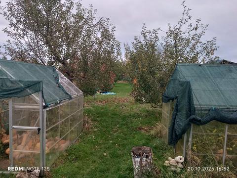 будинок за адресою Польова