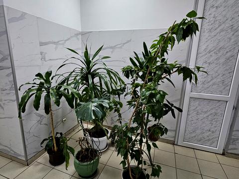 квартира за адресою Берестейський просп. (Перемоги), 131-А