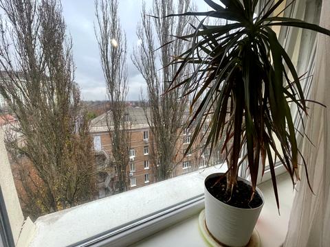 квартира за адресою Гетьмана Кирила Розумовського вул. (Миколи Краснова), 12