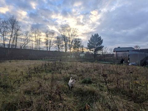 участок по адресу 