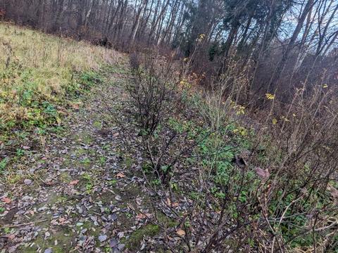 участок по адресу 