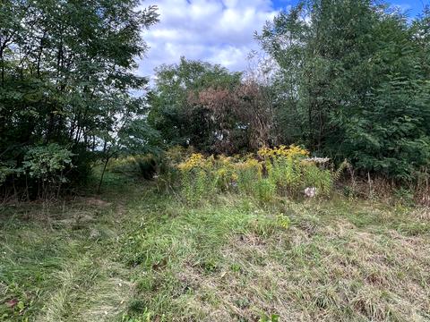 участок по адресу Княгині Ольги