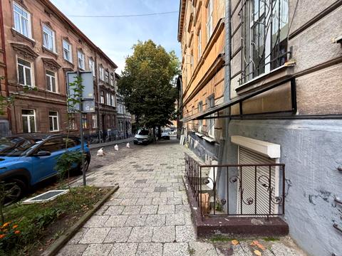 комерційна за адресою Шумлянських вул. (Івана Сєченова), 11