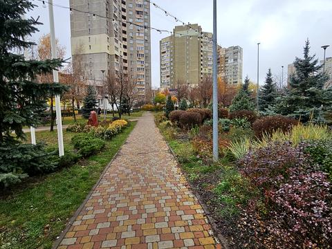 квартира по адресу Порика Василия просп., 9-В