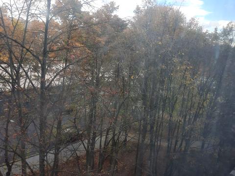 квартира по адресу Богдана Хмельницкого просп. (Героев Сталинграда), 1