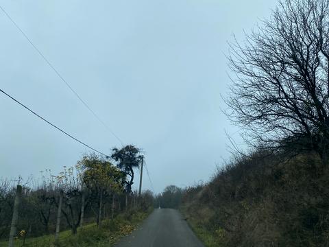 дом по адресу Пушкіна