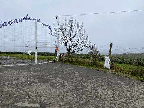 дом по адресу Пушкіна