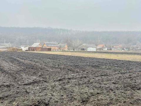 ділянка за адресою Садова