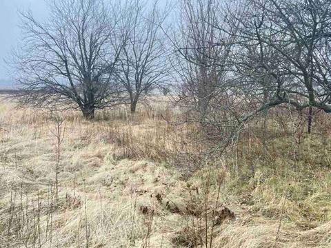 участок по адресу Садова