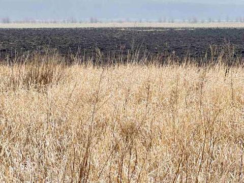 участок по адресу Садова