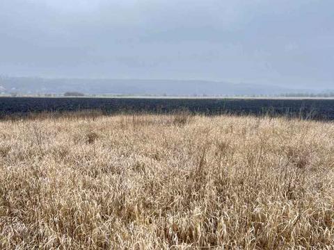 участок по адресу Садова