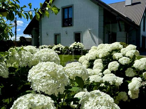 будинок за адресою Івана Мазепи вул. (Ворошилова)