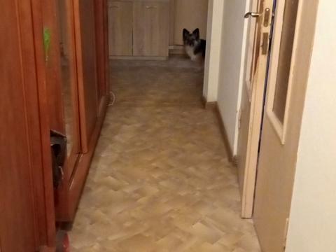 кімната за адресою Милославська, 35