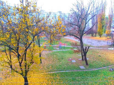 квартира по адресу Олени Теліги ул., 5