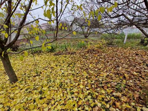 будинок за адресою Бежівка вул. (Дзержинського)