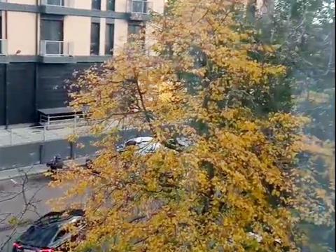 квартира за адресою Шевченка вул., 84