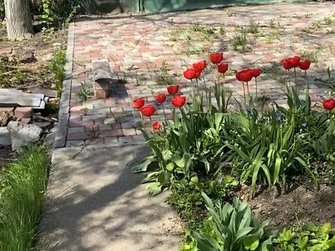 будинок за адресою линия 40