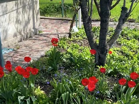 будинок за адресою линия 40