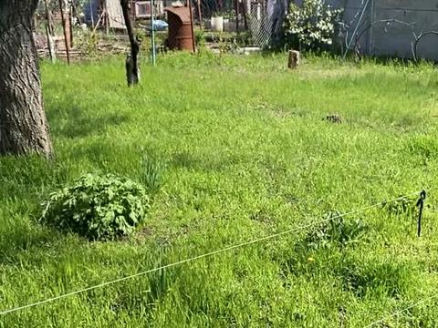 будинок за адресою линия 40