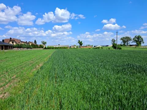 участок по адресу 