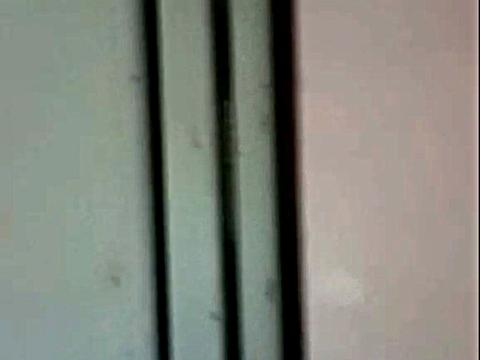 квартира за адресою Шевченка вул., 84