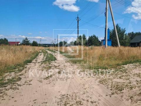 участок по адресу с. Синяк, ірпінька, 44