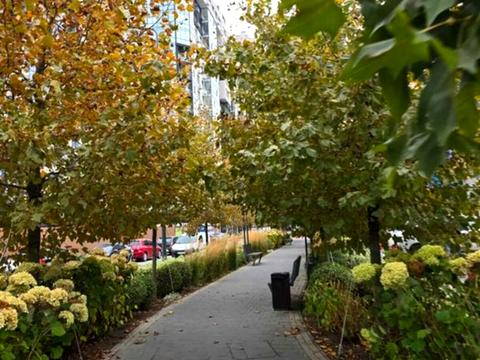 квартира за адресою Академіка Вільямса, 93/1