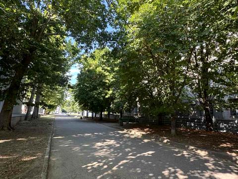 квартира за адресою Миколи Боровського вул., 1/17