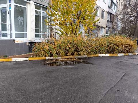 комерційна за адресою Шевченка вул., 3-А