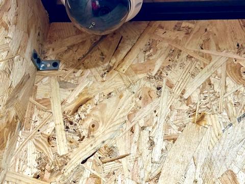 квартира по адресу Бориса Гмыри ул., 20