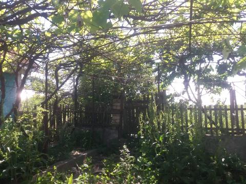 дом по адресу Шкільна ул. (Фрунзе)