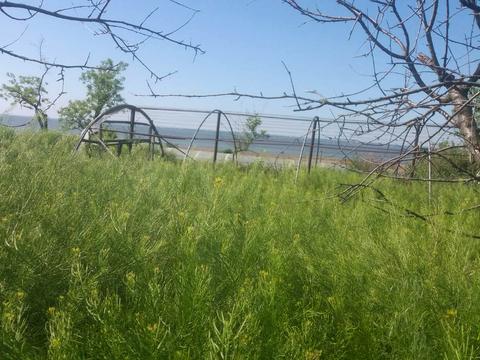 дом по адресу Шкільна ул. (Фрунзе)