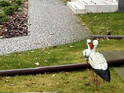 квартира за адресою Білокур вул. (Курська), 3-А/1