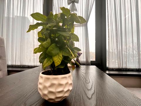 коммерческая по адресу Княгинин ул., 44