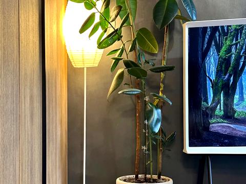 квартира по адресу Университетская ул., 3/8