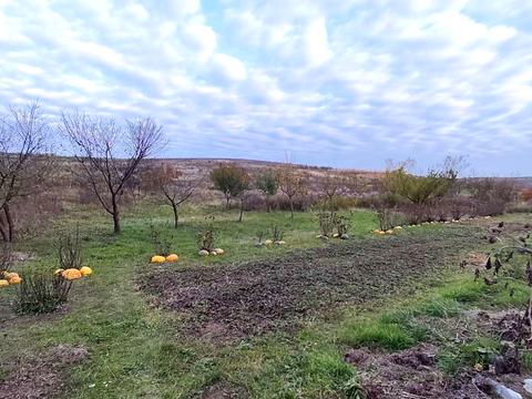 ділянка за адресою Сагайдачного