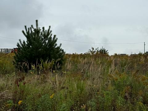 ділянка за адресою Сагайдачного