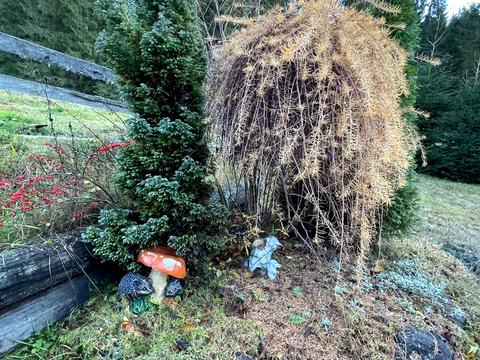 дом по адресу Войтул, 38