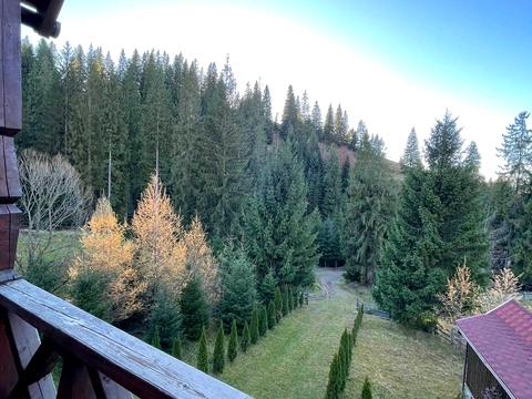 дом по адресу Войтул, 38