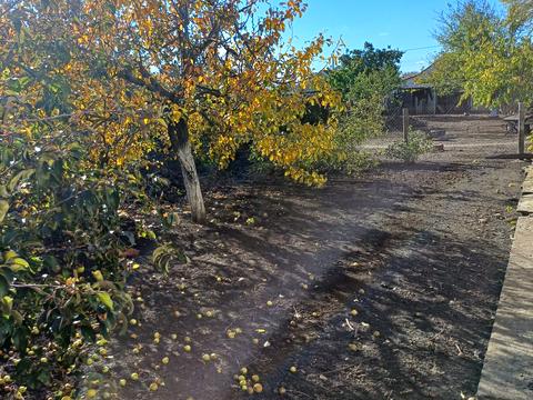 дом по адресу Тенистая