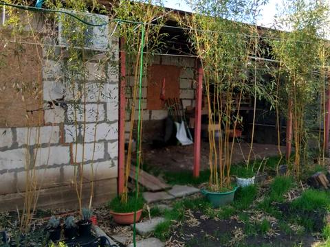 будинок за адресою Контрадмірала Остроградського вул. (Макарова), 10