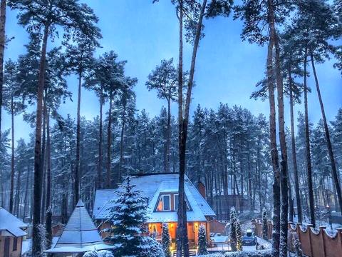 дом по адресу Гоголя ул.