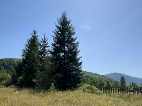 участок по адресу с. Старая Гута, 